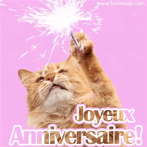 gif joyeux anniversaire chat|Joyeux Anniversaire gifs